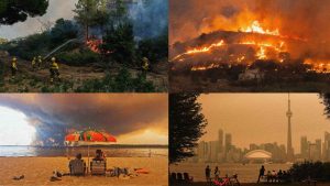 "You can’t close the borders to the damage done when you have closed your mind to the reality of the climate crisis." Image: TNW/Getty