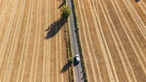 The climate crisis has turned Britain’s fields pale and dusty, threatening crops and food supplies. Image: TNW/Getty
