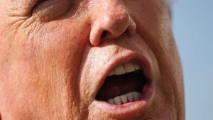 Trump's plans for the mid-terms. Image: TNW/Getty