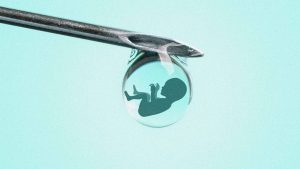 The science of embryo screening is advancing rapidly. So is the pressure on parents to make the ‘right’ genetic choice. Image: TNW