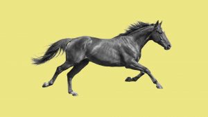 The word ‘canter’ comes from medieval pilgrims travelling to Canterbury. Image: TNW