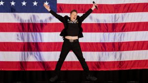 Elon Musk on stage at an event in support of then presidential candidate Trump in Pennsylvania, October 2024. Image: Ryan 
Collerd/AFP/Getty