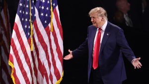 Donald Trump at the Republican National Committee midterm convention, aka Trumpapalooza. Photo: Blake Fagan / AFP via Getty Images