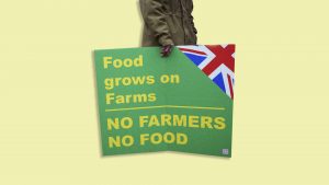 Farmers were promised Brexit meant less bureaucracy. What happened? Image: TNW/Getty