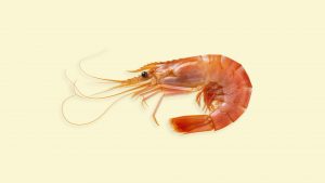 ‘Don’t come the raw prawn with me’ and other ways to call out a tall story. Image: TNW